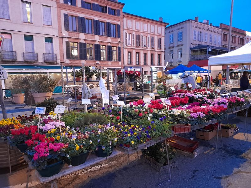 marche montauban hiver 2022 23 marty fleurs